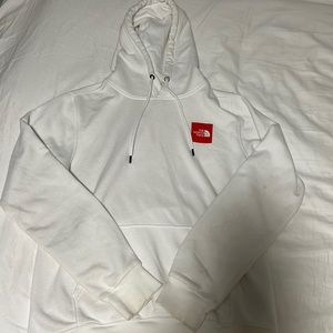 THE NORTH FACE Box NSE Hoodie